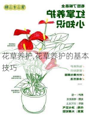 花草养护,花草养护的基本技巧