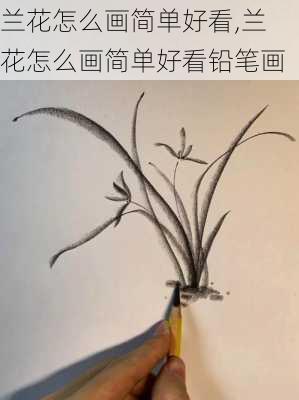 兰花怎么画简单好看,兰花怎么画简单好看铅笔画