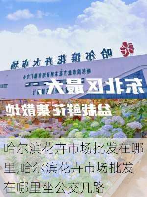 哈尔滨花卉市场批发在哪里,哈尔滨花卉市场批发在哪里坐公交几路