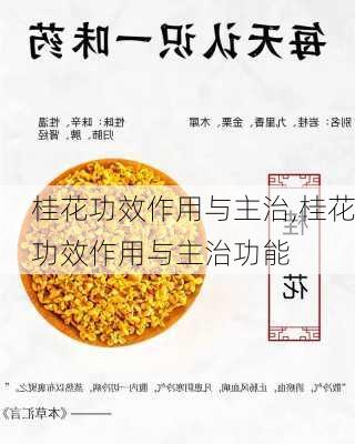 桂花功效作用与主治,桂花功效作用与主治功能