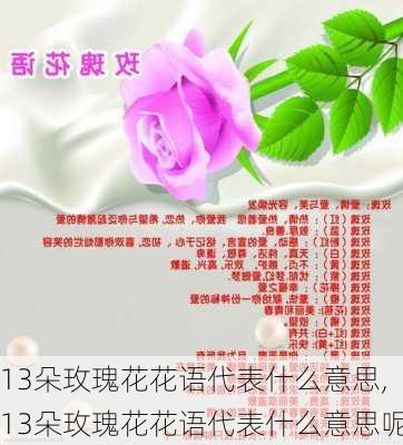 13朵玫瑰花花语代表什么意思,13朵玫瑰花花语代表什么意思呢