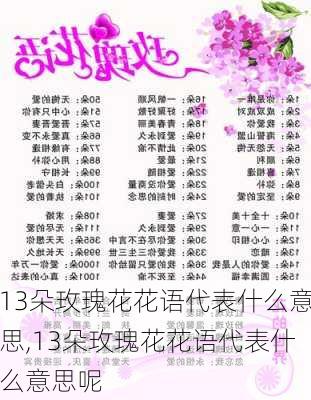 13朵玫瑰花花语代表什么意思,13朵玫瑰花花语代表什么意思呢-第2张图片-花卉百科