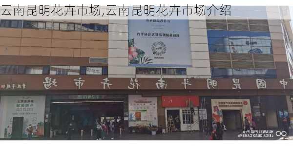 云南昆明花卉市场,云南昆明花卉市场介绍