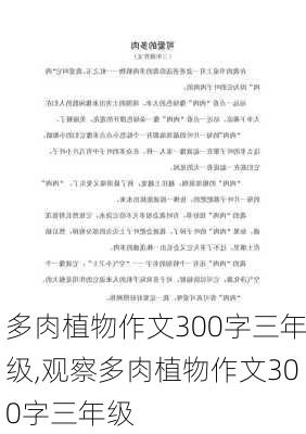 多肉植物作文300字三年级,观察多肉植物作文300字三年级