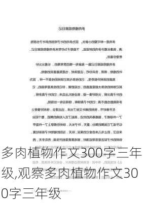 多肉植物作文300字三年级,观察多肉植物作文300字三年级-第2张图片-花卉百科