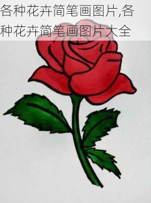 各种花卉简笔画图片,各种花卉简笔画图片大全-第3张图片-花卉百科