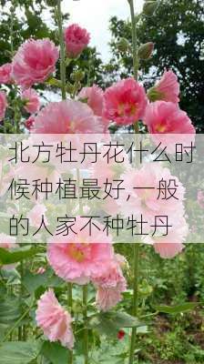 北方牡丹花什么时候种植最好,一般的人家不种牡丹