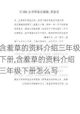 含羞草的资料介绍三年级下册,含羞草的资料介绍三年级下册怎么写-第1张图片-花卉百科