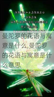 曼陀罗的花语与寓意是什么,曼陀罗的花语与寓意是什么意思