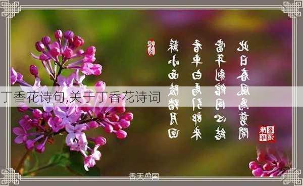 丁香花诗句,关于丁香花诗词-第1张图片-花卉百科