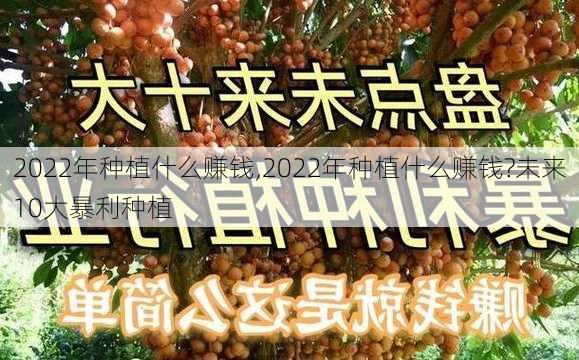 2022年种植什么赚钱,2022年种植什么赚钱?未来10大暴利种植