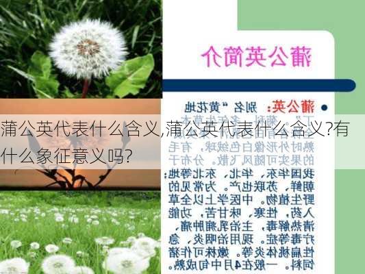 蒲公英代表什么含义,蒲公英代表什么含义?有什么象征意义吗?