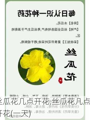 丝瓜花几点开花,丝瓜花几点开花(一天)-第2张图片-花卉百科