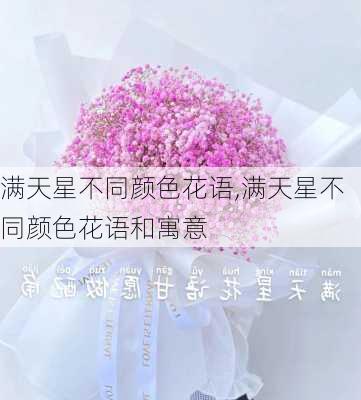 满天星不同颜色花语,满天星不同颜色花语和寓意