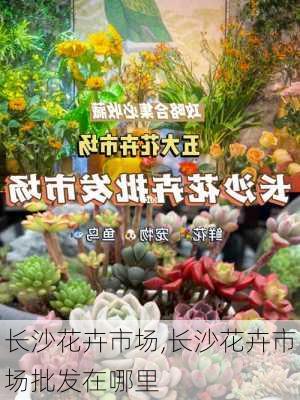 长沙花卉市场,长沙花卉市场批发在哪里-第3张图片-花卉百科