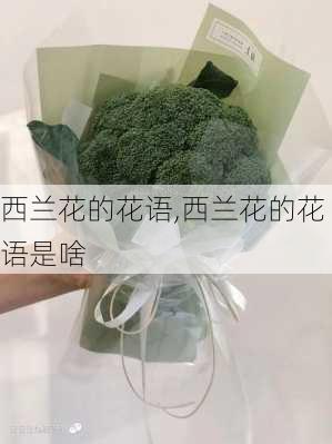 西兰花的花语,西兰花的花语是啥