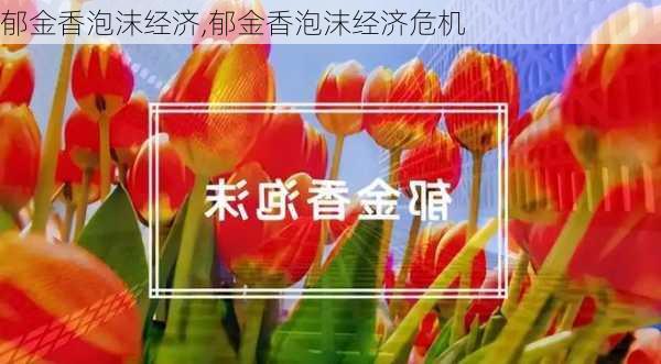 郁金香泡沫经济,郁金香泡沫经济危机-第1张图片-花卉百科