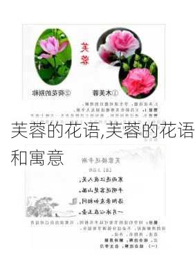 芙蓉的花语,芙蓉的花语和寓意-第1张图片-花卉百科