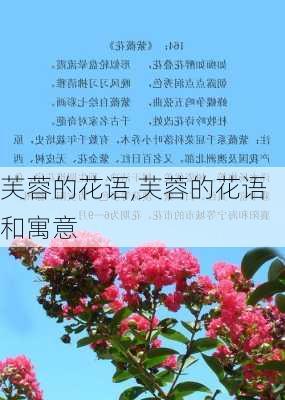 芙蓉的花语,芙蓉的花语和寓意-第3张图片-花卉百科