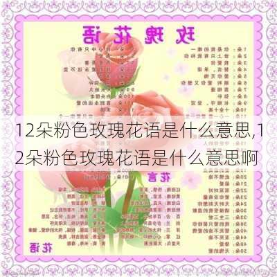 12朵粉色玫瑰花语是什么意思,12朵粉色玫瑰花语是什么意思啊