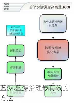 蓝藻,蓝藻治理最有效的方法-第1张图片-花卉百科