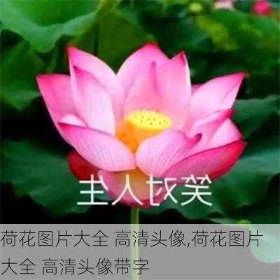 荷花图片大全 高清头像,荷花图片大全 高清头像带字