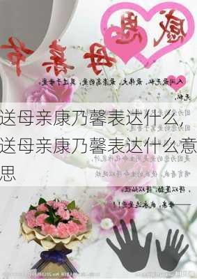 送母亲康乃馨表达什么,送母亲康乃馨表达什么意思