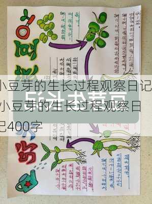 小豆芽的生长过程观察日记,小豆芽的生长过程观察日记400字