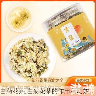 白菊花茶,白菊花茶的作用和功效-第3张图片-花卉百科