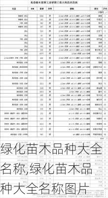 绿化苗木品种大全名称,绿化苗木品种大全名称图片-第3张图片-花卉百科