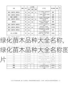 绿化苗木品种大全名称,绿化苗木品种大全名称图片-第1张图片-花卉百科