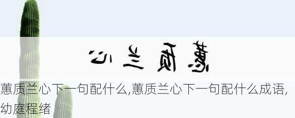 蕙质兰心下一句配什么,蕙质兰心下一句配什么成语,幼庭程绪-第2张图片-花卉百科