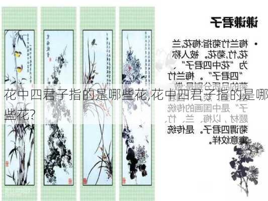 花中四君子指的是哪些花,花中四君子指的是哪些花?