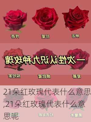 21朵红玫瑰代表什么意思,21朵红玫瑰代表什么意思呢