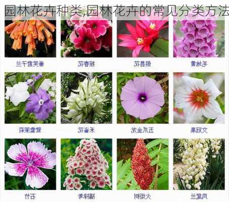 园林花卉种类,园林花卉的常见分类方法