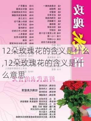 12朵玫瑰花的含义是什么,12朵玫瑰花的含义是什么意思