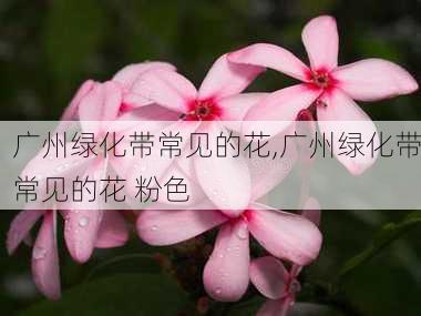 广州绿化带常见的花,广州绿化带常见的花 粉色