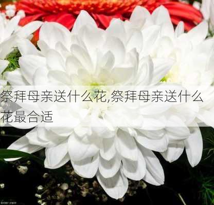 祭拜母亲送什么花,祭拜母亲送什么花最合适-第2张图片-花卉百科