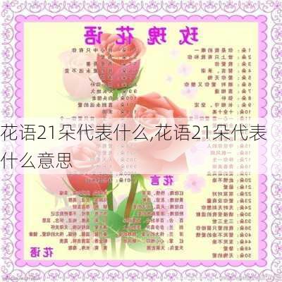 花语21朵代表什么,花语21朵代表什么意思-第3张图片-花卉百科