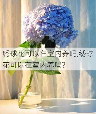 绣球花可以在室内养吗,绣球花可以在室内养吗?-第3张图片-花卉百科