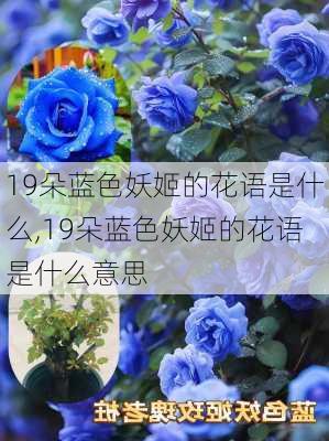 19朵蓝色妖姬的花语是什么,19朵蓝色妖姬的花语是什么意思-第1张图片-花卉百科