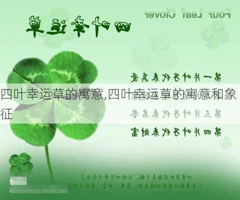 四叶幸运草的寓意,四叶幸运草的寓意和象征-第1张图片-花卉百科