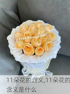 11朵花的含义,11朵花的含义是什么-第3张图片-花卉百科