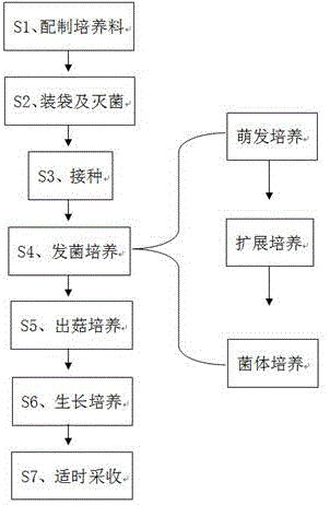 种蘑菇怎么种植方法,种蘑菇怎么种植方法视频-第2张图片-花卉百科