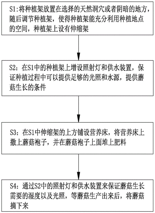 种蘑菇怎么种植方法,种蘑菇怎么种植方法视频-第3张图片-花卉百科