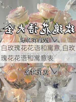 白玫瑰花花语和寓意,白玫瑰花花语和寓意表