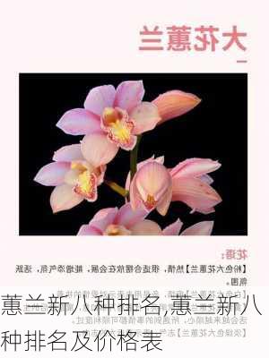 蕙兰新八种排名,蕙兰新八种排名及价格表-第2张图片-花卉百科