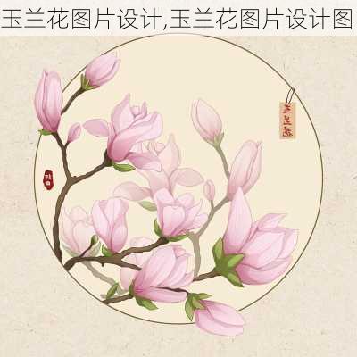 玉兰花图片设计,玉兰花图片设计图