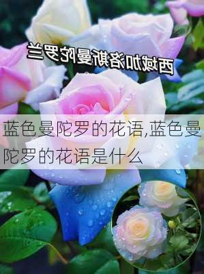 蓝色曼陀罗的花语,蓝色曼陀罗的花语是什么