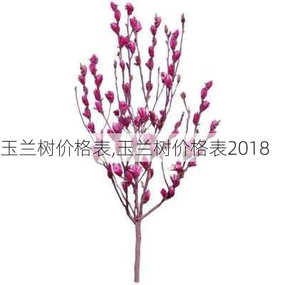 玉兰树价格表,玉兰树价格表2018